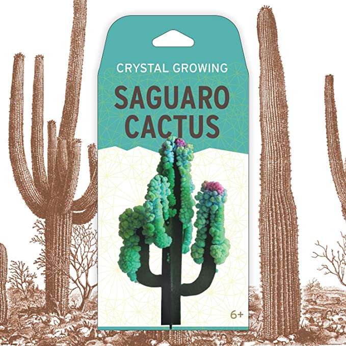 Crystal Growing | Saguaro Cactus